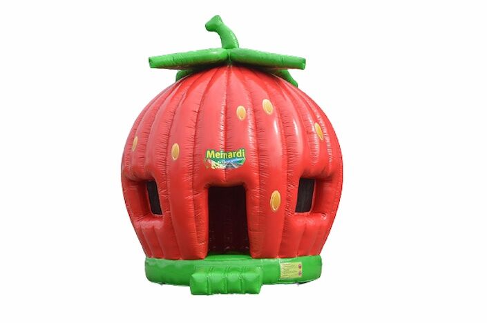 Op maat gemaakt opblaasbaar springkussen in de vorm van een aardbei voor Meinardi